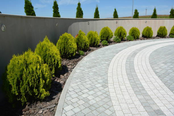 Best Decorative Driveway Pavers  in Manorhaven, NY